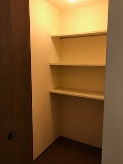 A hallway with a door and a shelf.