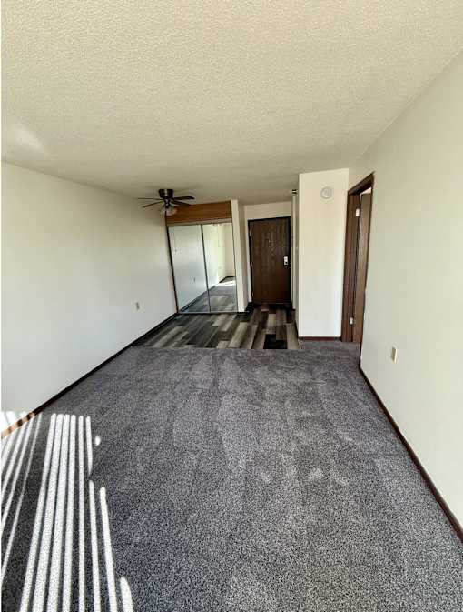 A room with a carpeted floor and a ceiling fan.