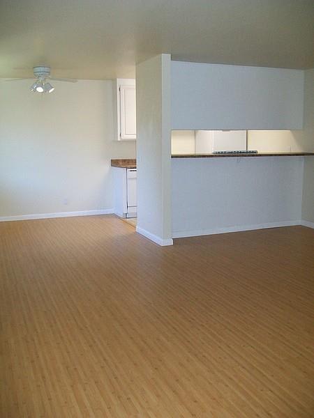 Living Room/Kitchen/Dining