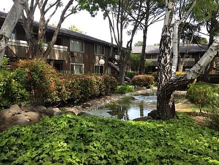 Courtyard/Pond Area
