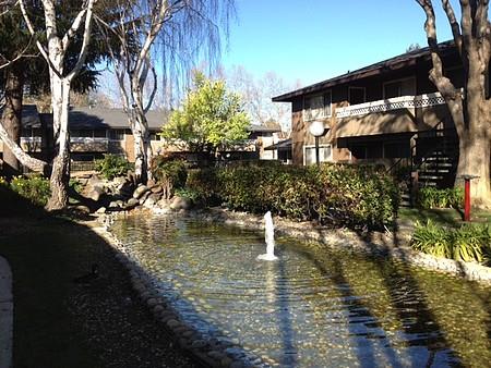 Pond