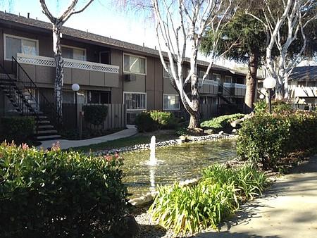 Pond