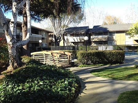 Pond Area
