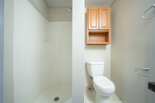 Primary Bathroom at Tremont Terraces Apartments, Cleveland, Ohio