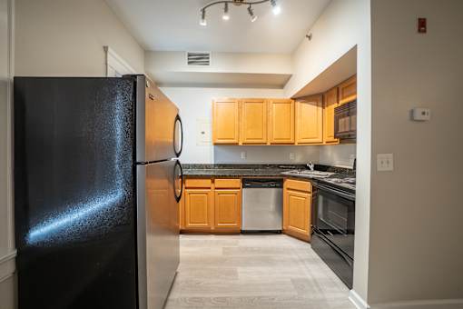 Luxury Kitchen at Tremont Terraces Apartments, Cleveland