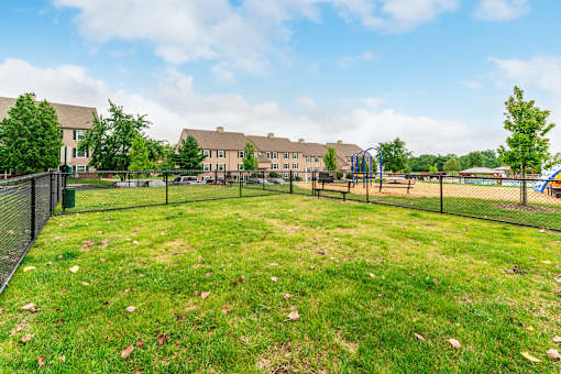 Grassy dog park at Renova of Brunswick Apartments, Brunswick