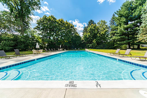A large swimming pool surrounded by trees and lounge chairs.