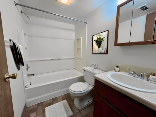 Master Bathroom at Renova of Brunswick Apartments, Brunswick, Ohio
