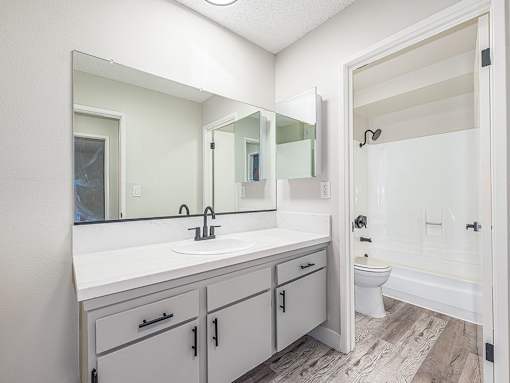 Modern styled bathroom vanity  with view to full bathroom.
