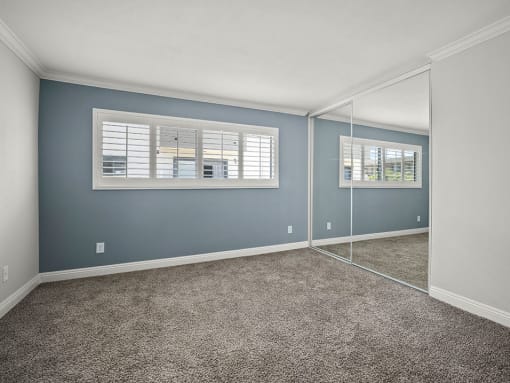 Carpeted bedroom with blue accent wall.