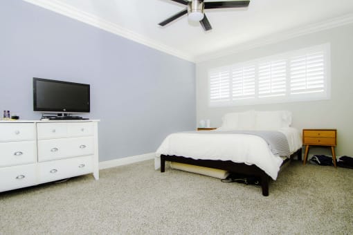 Naturally lit bedroom with ceiling fan.