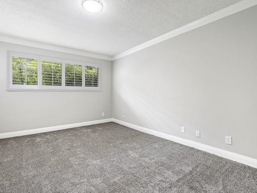 Carpeted bedroom with crown moulding and large exterior windows.