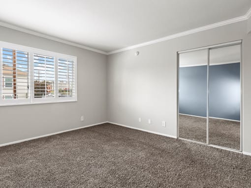 Carpeted bedroom with private sliding door closets.