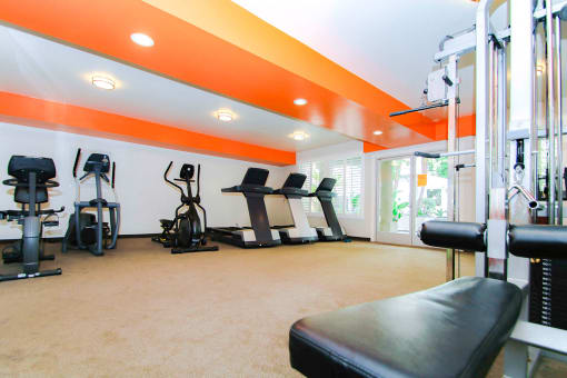 Fitness Center With Treadmills and Weight Machines.
