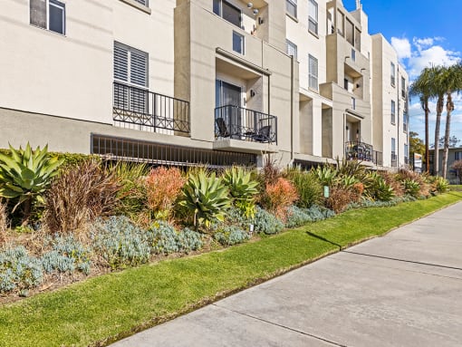 Beautiful drought resistant landscaping.