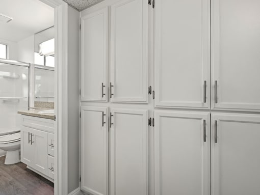 Copious and well designed in-unit storage.