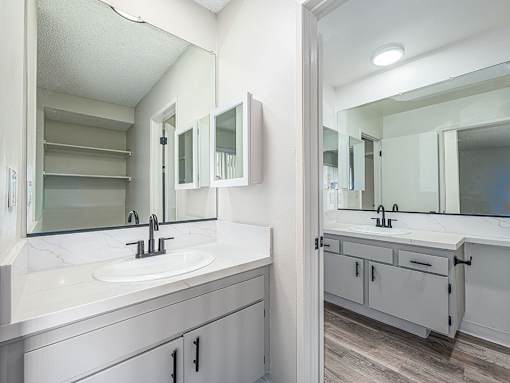 Modern styled bathroom vanity  with view to full bathroom.