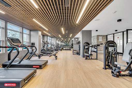A gym with treadmills, elliptical machines, and other exercise equipment.