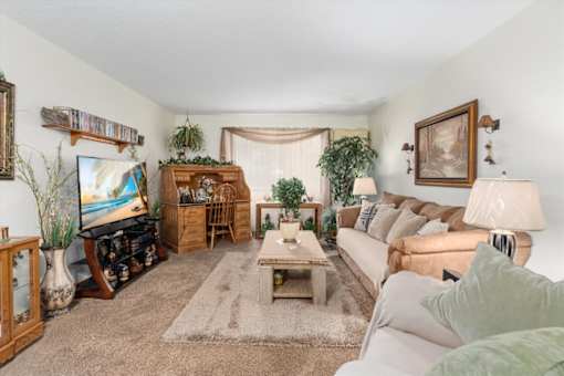A living room with a couch, a coffee table, and a television.