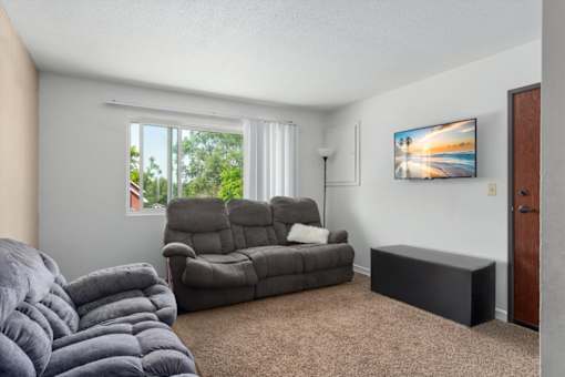 A living room with a grey couch, a grey blanket, a grey chair, a grey ottoman, a grey rug, a grey wall, a window, a lamp, a painting, and a door.
