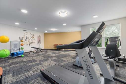 A Lifespan treadmill is in a room with exercise equipment.