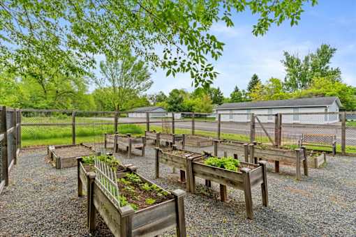 A garden with wooden planters and gravel ground.
