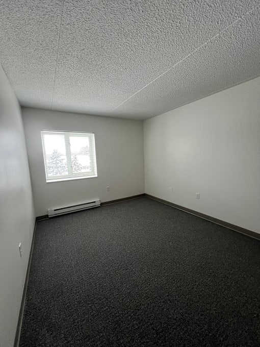 A room with a window and a heater.
