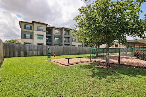 A tree in a yard with a fence and a building in the background.
