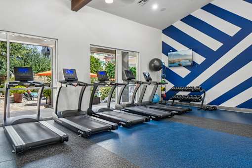 A gym with treadmills and a blue and white striped wall.