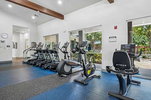 A gym with a row of exercise bikes and a treadmill.