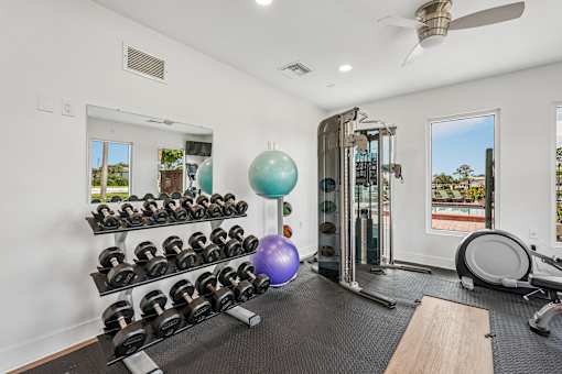 A well-equipped home gym with a mirror, dumbbells, a ball, and a treadmill.