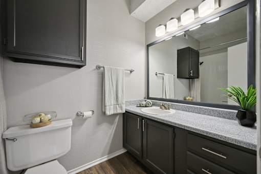 A bathroom with a white toilet and a mirror above a sink.