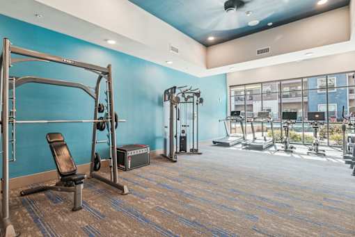 A gym with a variety of equipment including a weight bench, a squat rack, and a treadmill.