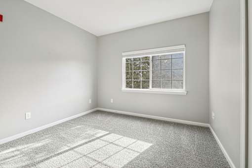 A room with a window and a carpet on the floor.