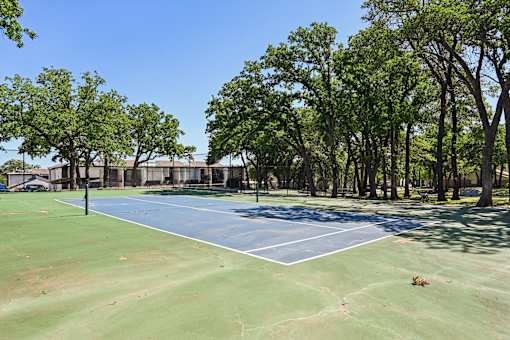 A tennis court surrounded by trees on a sunny day.