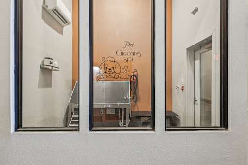 A window with a view of a room with a dog and a cat on the wall.