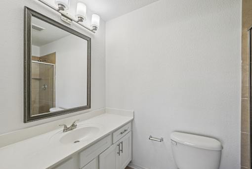 A bathroom with a white toilet and a sink with a mirror above it.