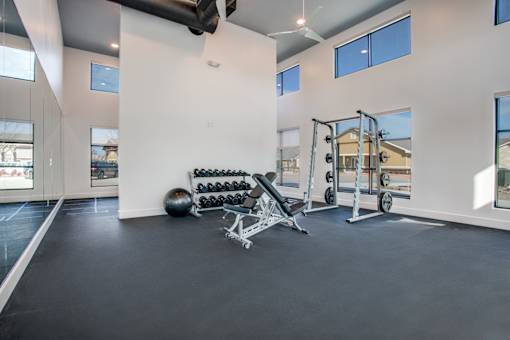 Workout area with dumbbells, bench station, and squat rack beside large windows.
