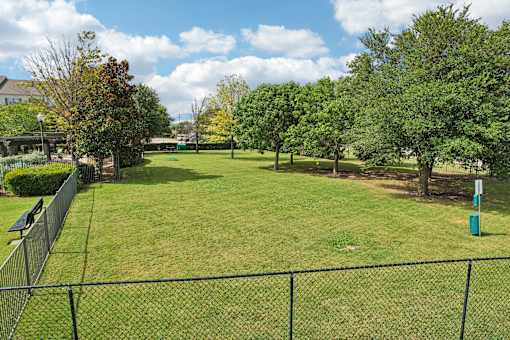 A green grassy area with a fence and trees.