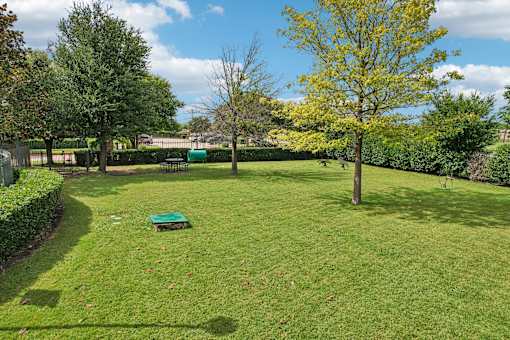 A green lawn with a yellow tree and a blue bench.