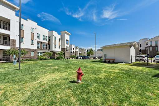 A red fire hydrant sits in the middle of a grassy field.