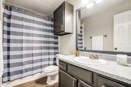 a bathroom with a shower and a sink and a toilet