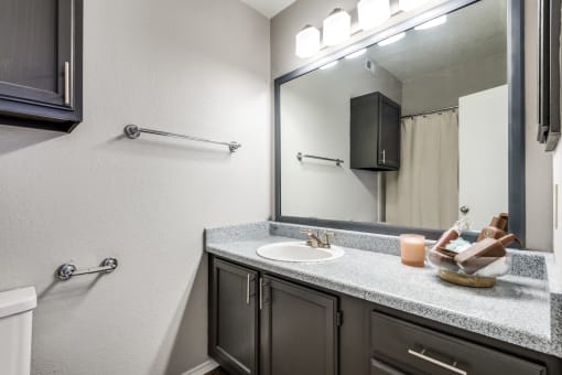 a bathroom with a sink and a mirror