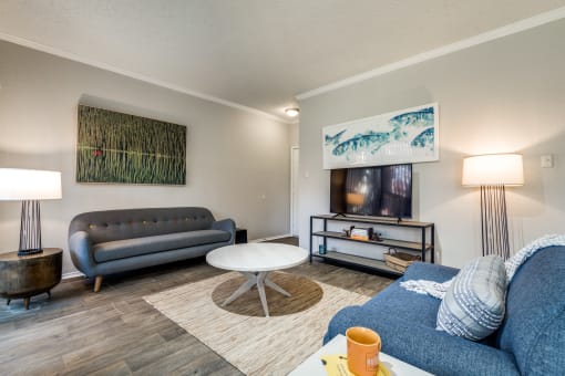 a living room with a couch and a coffee table and a tv