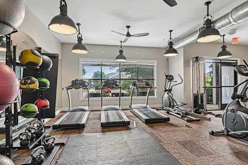 A gym with treadmills, weights, and exercise balls.