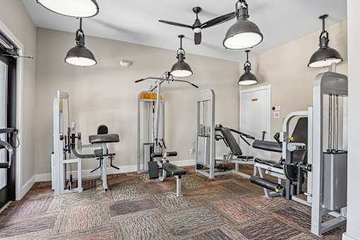 A gym with a variety of equipment including a bench press, a squat rack, and a leg press machine.
