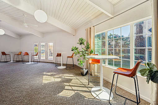 A room with a table and chairs and a plant.