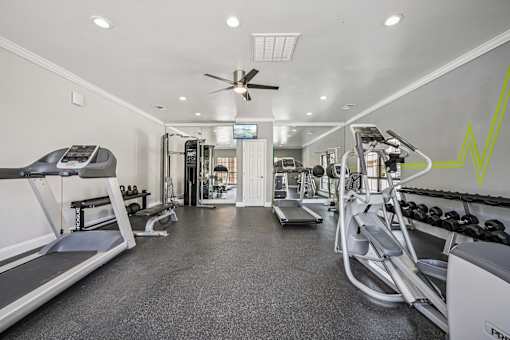 A gym with treadmills, elliptical machines, and weights.