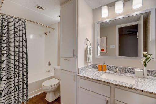 a bathroom with a shower toilet and sink and a mirror