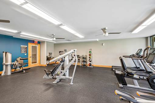 A gym with a variety of equipment including treadmills, weights, and a bench press.